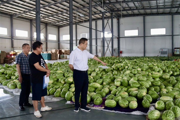 集團(tuán)公司到龍泉農(nóng)產(chǎn)品集采集配中心調(diào)研